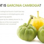 Garcinia Benefits